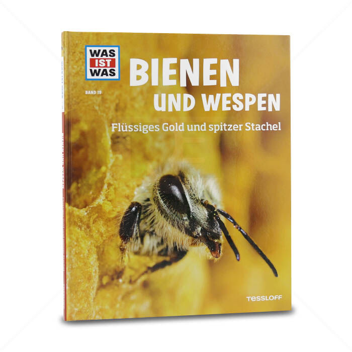 Buch Tessloff WAS IST WAS Bienen und Wespen, Band 19