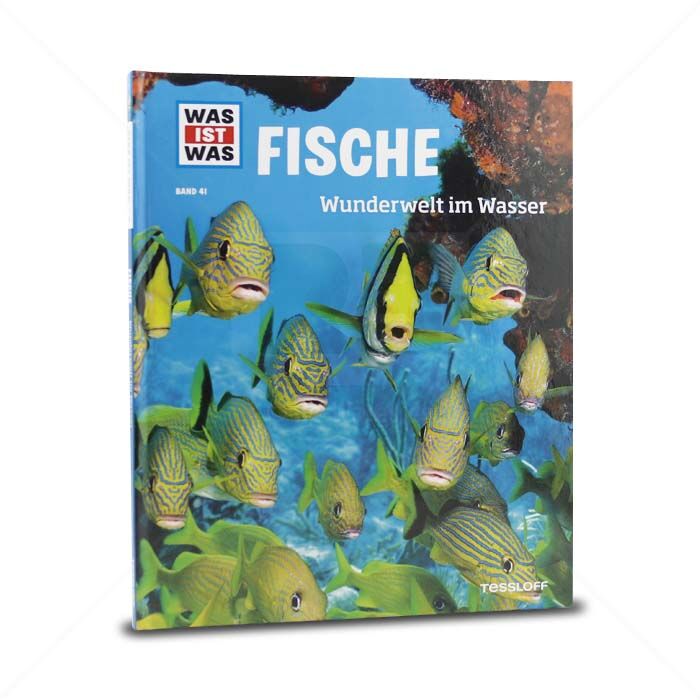 Buch Tessloff WAS IST WAS Fische Wunderwelt im Wasser