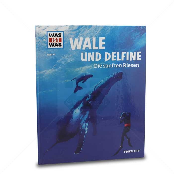 Buch Tessloff WAS IST WAS Wale und Delfine, Band 85