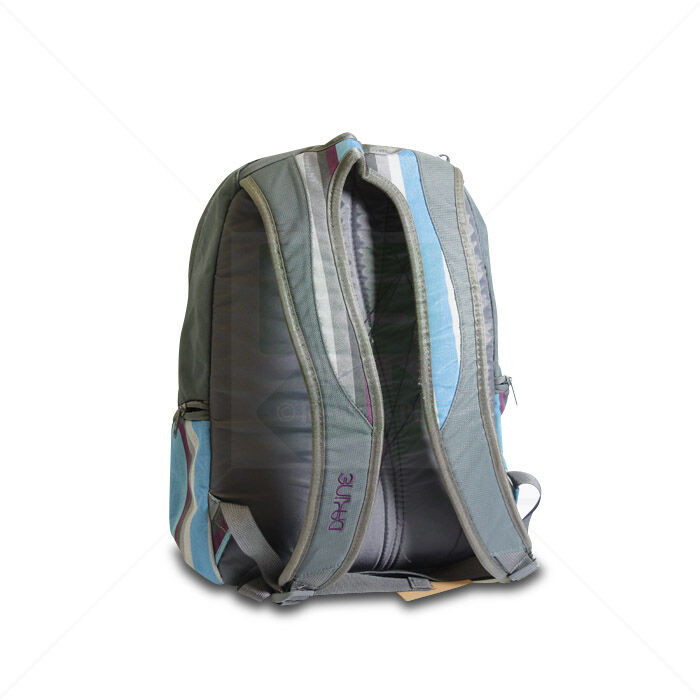 Schulrucksack Dakine ca. 26 L 46x36x14 cm grün/multicolored