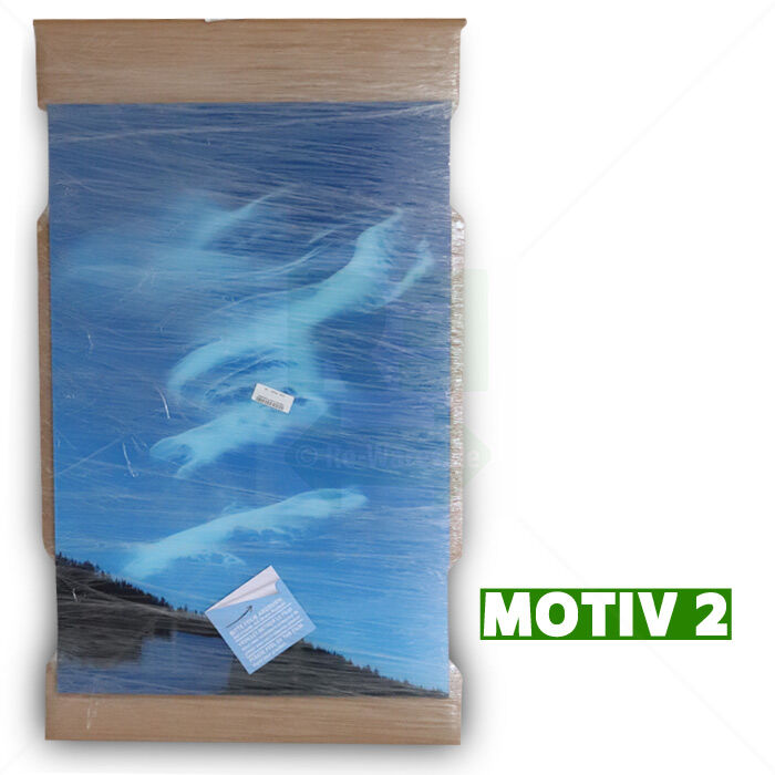 Acrylgemälde Wolken75x50cm x4mm Acrylgemälde Wolken75x50cm x4mm