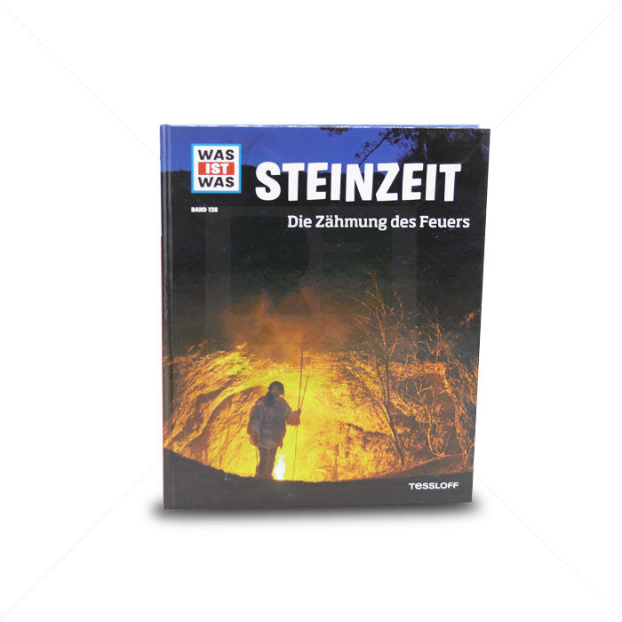 Buch Tessloff Was ist Was  STEINZEIT Die Zähmung des Feuers